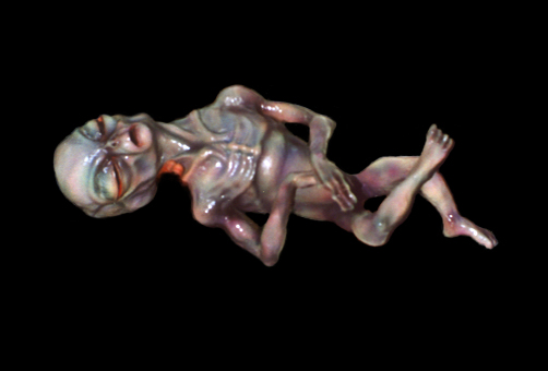 Bebe extraterrestre